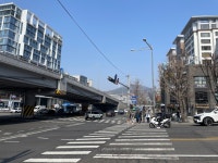 걷기, 강남역에서 동묘까지