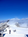 멀미와 함께 한 덕유산 눈꽃 산행 멀미와 함께 한 덕유산 눈꽃 산행 