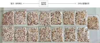 집짓기 24주 차