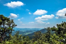 전남 장성 축령산