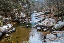 봄이 와있는 전남 곡성 동악산 735m