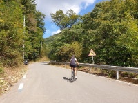 홍천 가리산 임도 MTB 운동