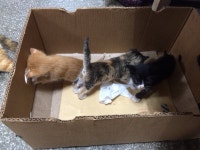 강원 내륙 자전거 여행 - 주천강 따라서..