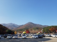 38번째, 내가 행복한 이유