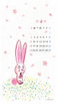 꽃바람