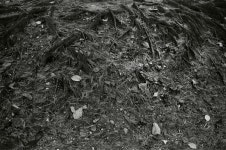 [연재 브런치북] 보험 테라피스민정미 씨 이야기