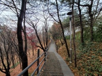 서달산