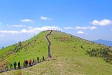 천상의 화원 소백산