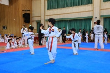[한국 IN 공공누리] 한국 전통 스포츠 태권도