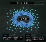 숙성고기의 모든 것 21