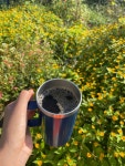 결산 서른하나