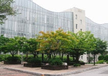 시작, 흑석동 중앙대학교 (1)