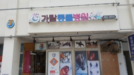 까치를 살려주면 무엇을 얻나요 까치를 살려주면 무엇을 얻나요 