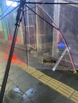 12화 편의점 우산: 게으른 게 아니라 관대한 겁니다