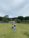 주말 캠핑 대신 주말 공원 투어를 택했습니다