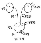 09화 다낭신이 뭘까?