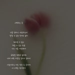 고백하는 글