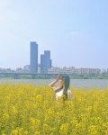 2024 한강 서래섬 유채꽃 축제 총정리