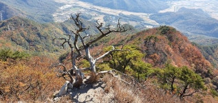 01화 충북알프스 구병산을 갔다 오다