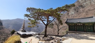 07화 유교와 불교문화가 있는 청량산, 공민왕의 전설도 있다.