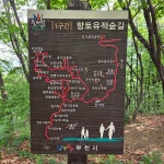서울 양천구청역에서 부천소사역까지 걷기