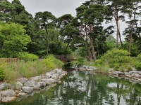 [브런치북] 강릉에서 잘 삽니다 2부