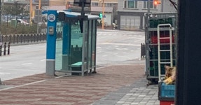 비도 오는데 어쩌지?