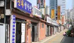 12화 운명, 역술가, 옛사랑