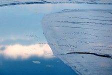 그대로의 자연 앞에서 그대로의 자연 앞에서 