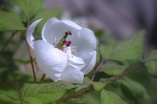 시선이 머무는 곳-4
