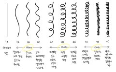11화 곱슬머리의 미니멀리즘