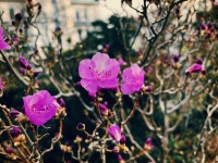 13화 추억의 맛과 꿀 맛 중 어떤게 더 맛있을까요? 13화 추억의 맛과 꿀 맛 중 어떤게 더 맛있을까요? 