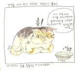 05화 육묘 일기 4. 아기 고양이의 성장 05화 육묘 일기 4. 아기 고양이의 성장 