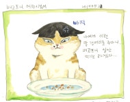 11화 육묘 일기 10- 잘 먹는 고양이 
