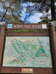 13화 가을 품에 안기다, 남양주 축령산 자연휴양림