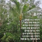 39화 - 여름 즐기는 행복한 [휴가]