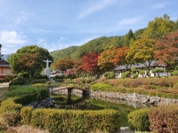 허브차 한잔으로 시작하는 배론 성지 순례