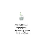 나에게 찾아온 반려식물