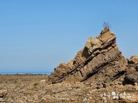 충남의 제주도, 부러울게 없는...보령 장고도