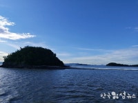 전남 보성 장도