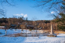 14화 남양주 광릉과 봉선사