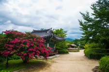 19화 영주 소수서원