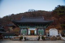 12화 양평 용문사와 천년 은행나무