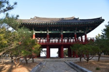 22화 평해 월송정을 아시나요?