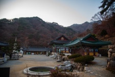 12화 양평 용문사와 천년 은행나무