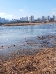 11화 경기도미술관과 화랑유원지
