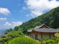 조금 특별한 Z세대가 떠난 경북 북부 문화유산 기행