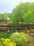 불암산 힐링타운 & 철쭉