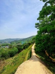 10화 고창 선운사 & 고창읍성