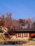 11화 종묘